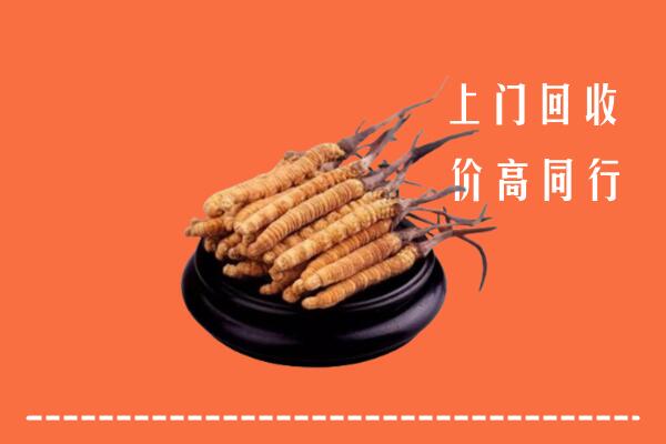 附近收购：陇南冬虫夏草回收多少钱每克